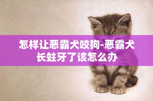怎樣讓惡霸犬咬狗-惡霸犬長蛀牙了該怎么辦