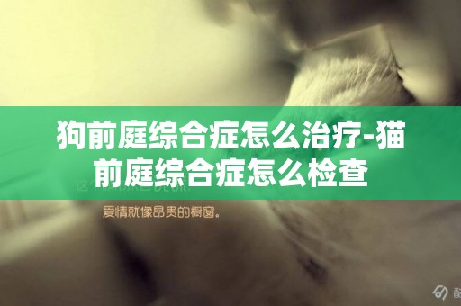 狗前庭綜合癥怎么治療-貓前庭綜合癥怎么檢查
