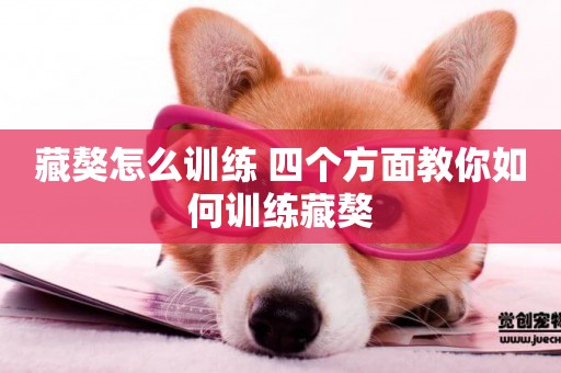 藏獒怎么訓練 四個方面教你如何訓練藏獒