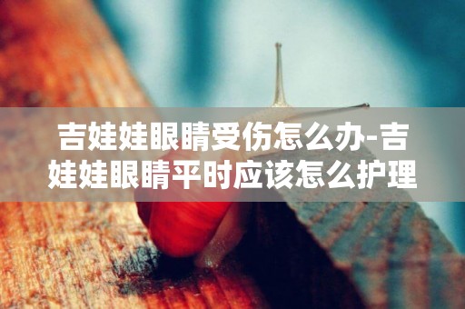 吉娃娃眼睛受傷怎么辦-吉娃娃眼睛平時應該怎么護理