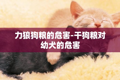 力狼狗糧的危害-干狗糧對幼犬的危害