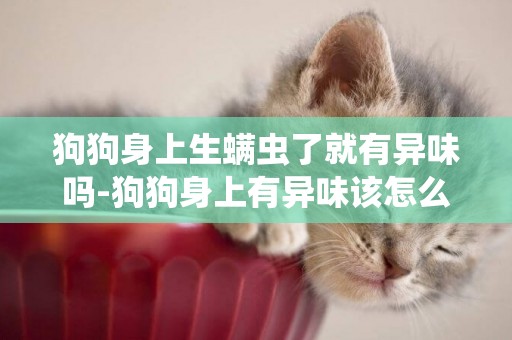 狗狗身上生螨蟲了就有異味嗎-狗狗身上有異味該怎么去除