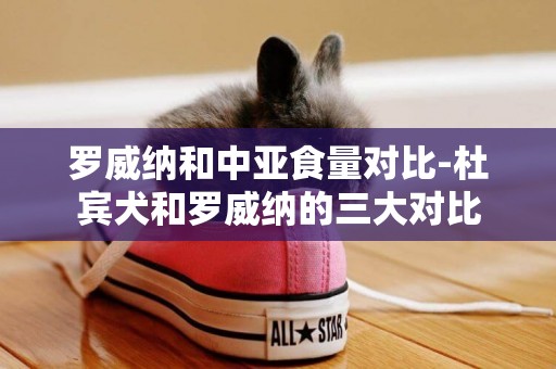 羅威納和中亞食量對比-杜賓犬和羅威納的三大對比
