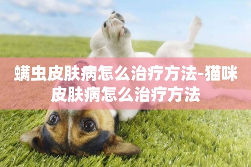 螨蟲皮膚病怎么治療方法-貓咪皮膚病怎么治療方法