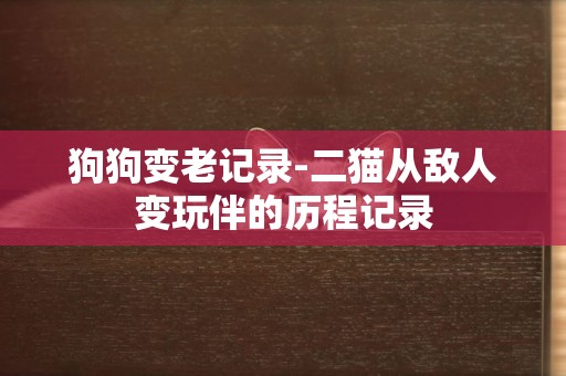 狗狗變老記錄-二貓從敵人變玩伴的歷程記錄