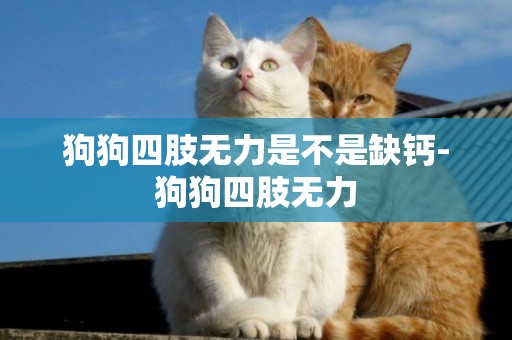 狗狗四肢無力是不是缺鈣-狗狗四肢無力