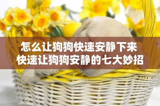 怎么讓狗狗快速安靜下來 快速讓狗狗安靜的七大妙招