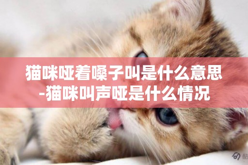貓咪啞著嗓子叫是什么意思-貓咪叫聲啞是什么情況
