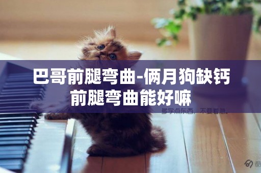 巴哥前腿彎曲-倆月狗缺鈣前腿彎曲能好嘛