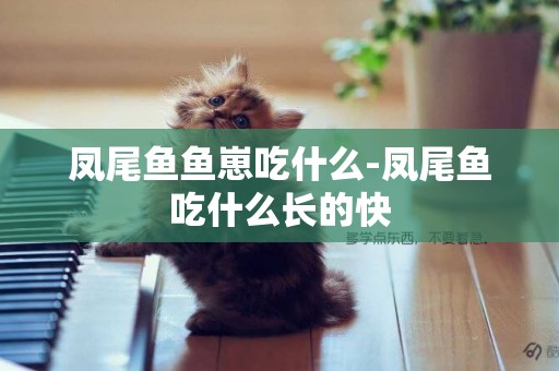 鳳尾魚魚崽吃什么-鳳尾魚吃什么長的快