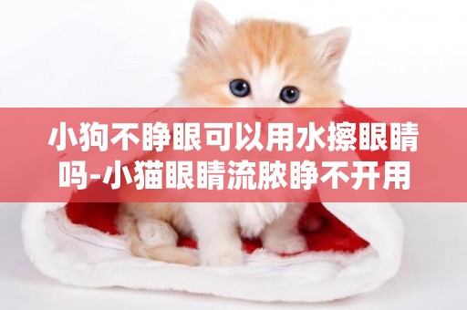 小狗不睜眼可以用水擦眼睛嗎-小貓眼睛流膿睜不開用什么眼藥水