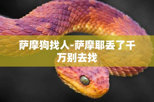 薩摩狗找人-薩摩耶丟了千萬別去找