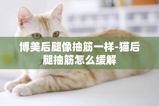 博美后腿像抽筋一樣-貓后腿抽筋怎么緩解