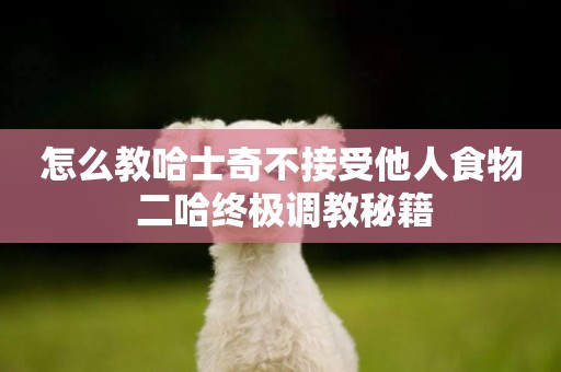 怎么教哈士奇不接受他人食物 二哈終極調教秘籍