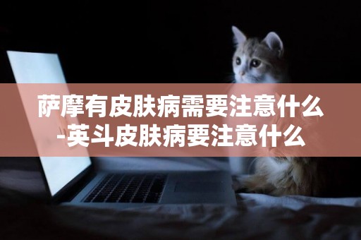薩摩有皮膚病需要注意什么-英斗皮膚病要注意什么