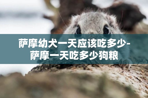 薩摩幼犬一天應該吃多少-薩摩一天吃多少狗糧
