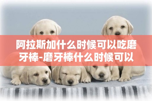 阿拉斯加什么時候可以吃磨牙棒-磨牙棒什么時候可以吃