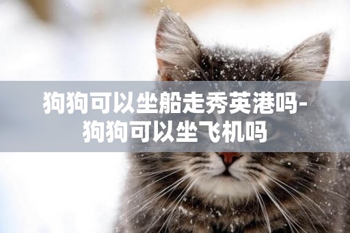 狗狗可以坐船走秀英港嗎-狗狗可以坐飛機嗎