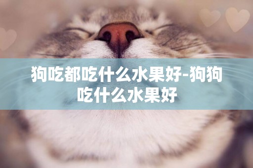 狗吃都吃什么水果好-狗狗吃什么水果好