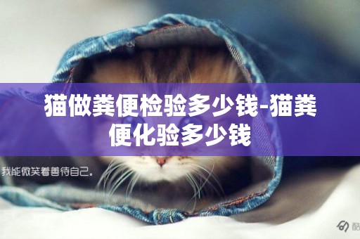 貓做糞便檢驗多少錢-貓糞便化驗多少錢