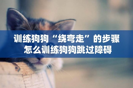 訓練狗狗“繞彎走”的步驟 怎么訓練狗狗跳過障礙