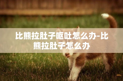 比熊拉肚子嘔吐怎么辦-比熊拉肚子怎么辦