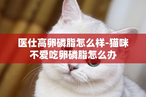 醫仕高卵磷脂怎么樣-貓咪不愛吃卵磷脂怎么辦