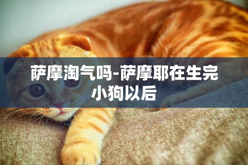 薩摩淘氣嗎-薩摩耶在生完小狗以后