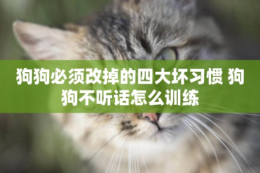 狗狗必須改掉的四大壞習慣 狗狗不聽話怎么訓練