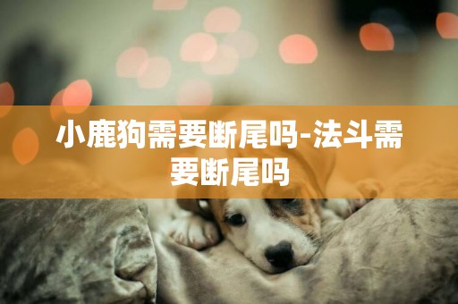 小鹿狗需要斷尾嗎-法斗需要斷尾嗎