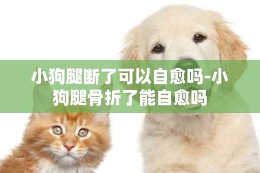 小狗腿斷了可以自愈嗎-小狗腿骨折了能自愈嗎