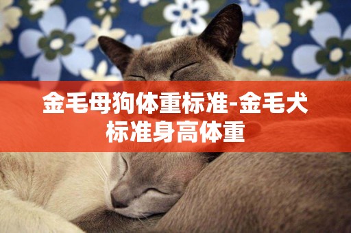 金毛母狗體重標準-金毛犬標準身高體重