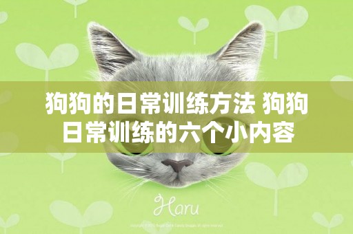 狗狗的日常訓練方法 狗狗日常訓練的六個小內容