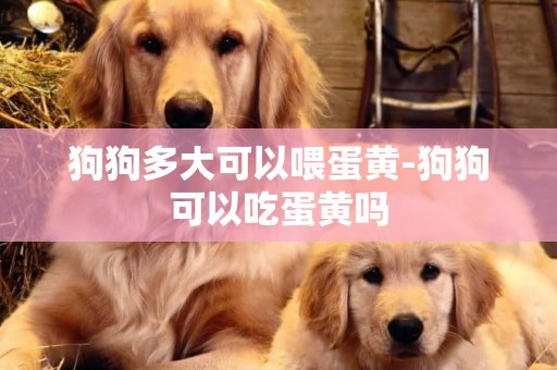 狗狗多大可以喂蛋黃-狗狗可以吃蛋黃嗎