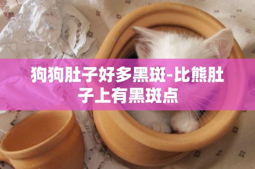狗狗肚子好多黑斑-比熊肚子上有黑斑點