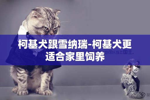 柯基犬跟雪納瑞-柯基犬更適合家里飼養