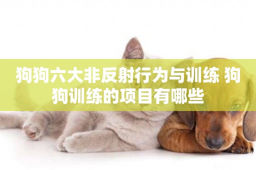 狗狗六大非反射行為與訓練 狗狗訓練的項目有哪些