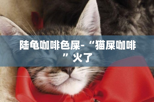 陸龜咖啡色屎-“貓屎咖啡”火了