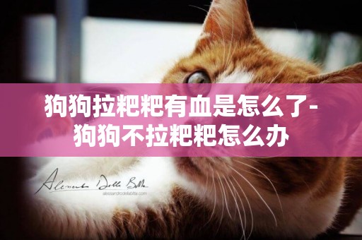 狗狗拉粑粑有血是怎么了-狗狗不拉粑粑怎么辦
