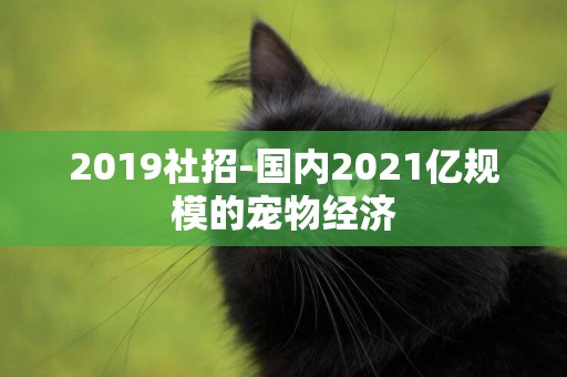 2019社招-國內2021億規模的寵物經濟