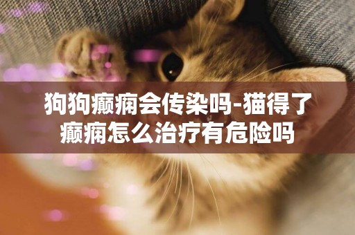 狗狗癲癇會傳染嗎-貓得了癲癇怎么治療有危險嗎