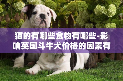 貓的有哪些食物有哪些-影響英國斗牛犬價格的因素有哪些