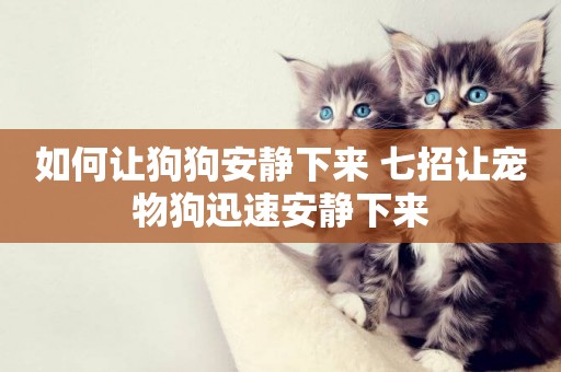 如何讓狗狗安靜下來 七招讓寵物狗迅速安靜下來