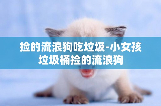 撿的流浪狗吃垃圾-小女孩垃圾桶撿的流浪狗