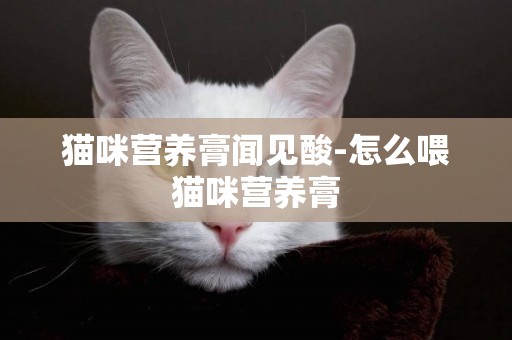 貓咪營養膏聞見酸-怎么喂貓咪營養膏