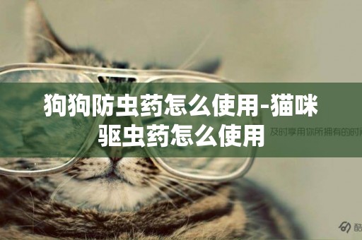 狗狗防蟲藥怎么使用-貓咪驅蟲藥怎么使用
