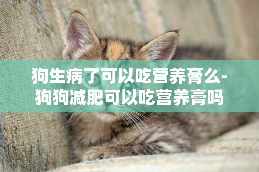 狗生病了可以吃營養膏么-狗狗減肥可以吃營養膏嗎