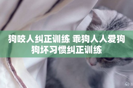 狗咬人糾正訓練 乖狗人人愛狗狗壞習慣糾正訓練