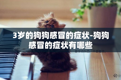 3歲的狗狗感冒的癥狀-狗狗感冒的癥狀有哪些