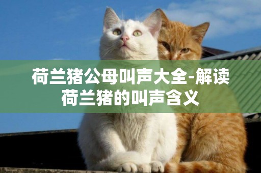 荷蘭豬公母叫聲大全-解讀荷蘭豬的叫聲含義
